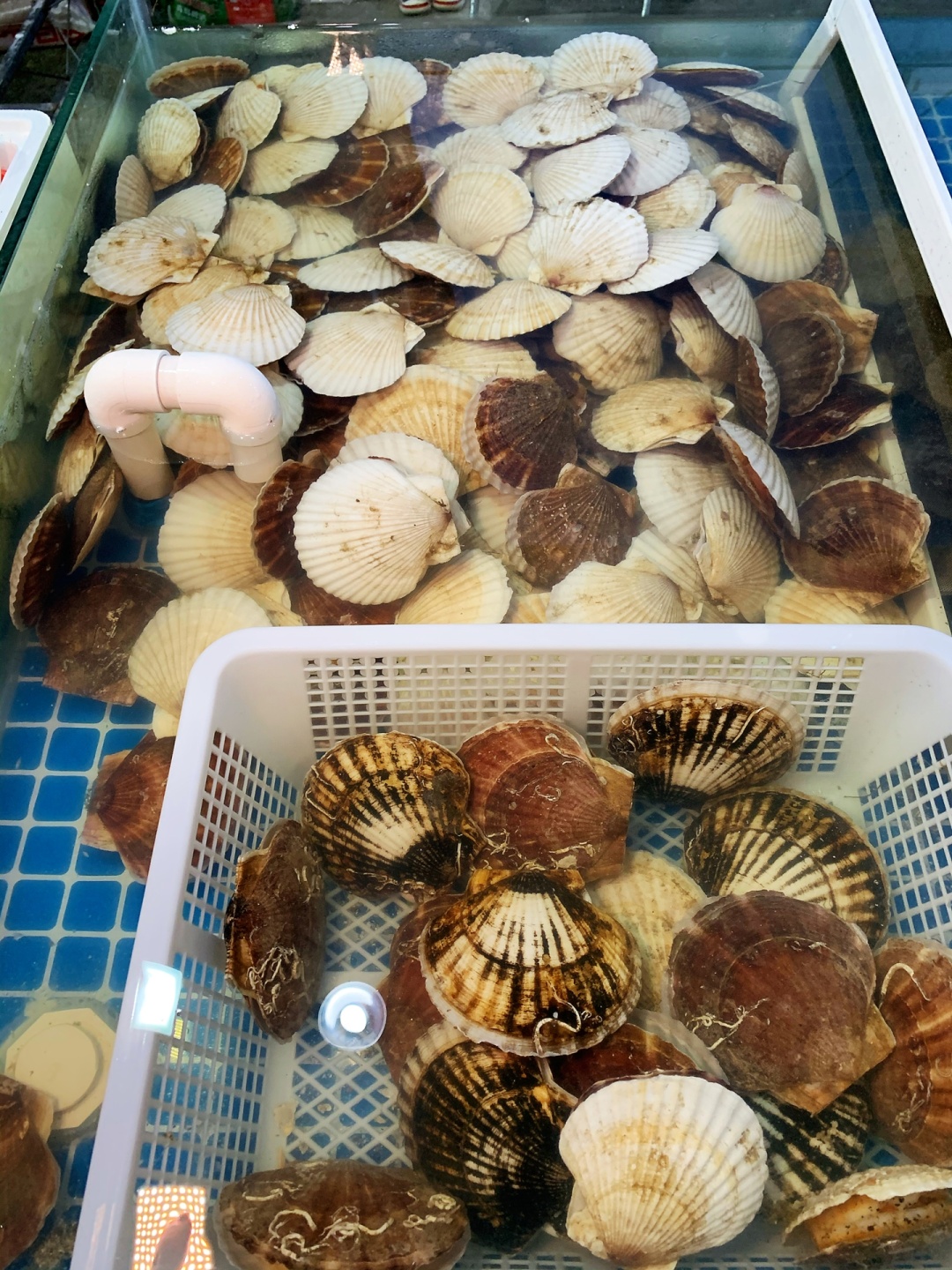 30年老厨师毫不保留教你做香辣酱,30年的老厨师教做新疆大盘鸡