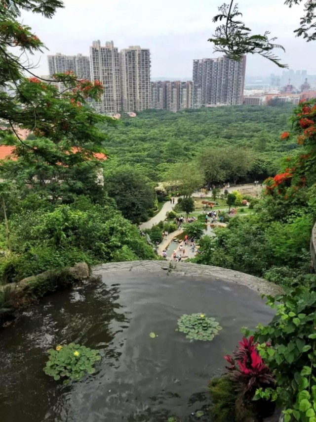 深圳周末好去处大自然,深圳青青世界好玩的景点推荐