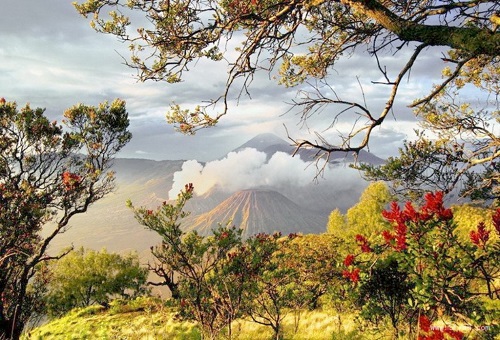 关于朱熹的经典诗词名句,关于朱熹的诗有哪些