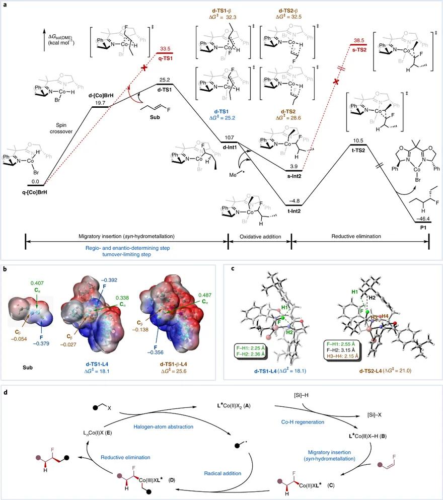 中科大傅尧院士,傅尧科大