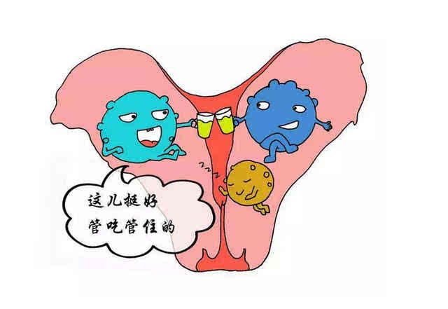 我，女生，天生没有阴道和子宫