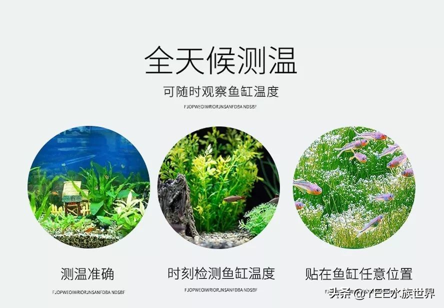 配一套一米的鱼缸多少钱,弄一个鱼缸大概需要多少钱