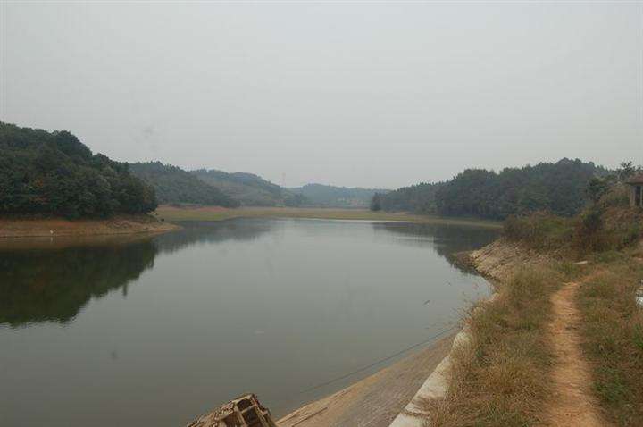 去水库钓鱼怎么钓才会爆护,春季水库钓鲈鱼用什么饵最好