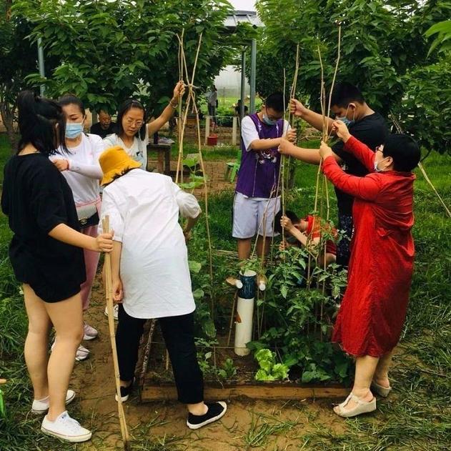 一亩土地怎么能一年赚20万,20亩地的农场该怎样赚钱