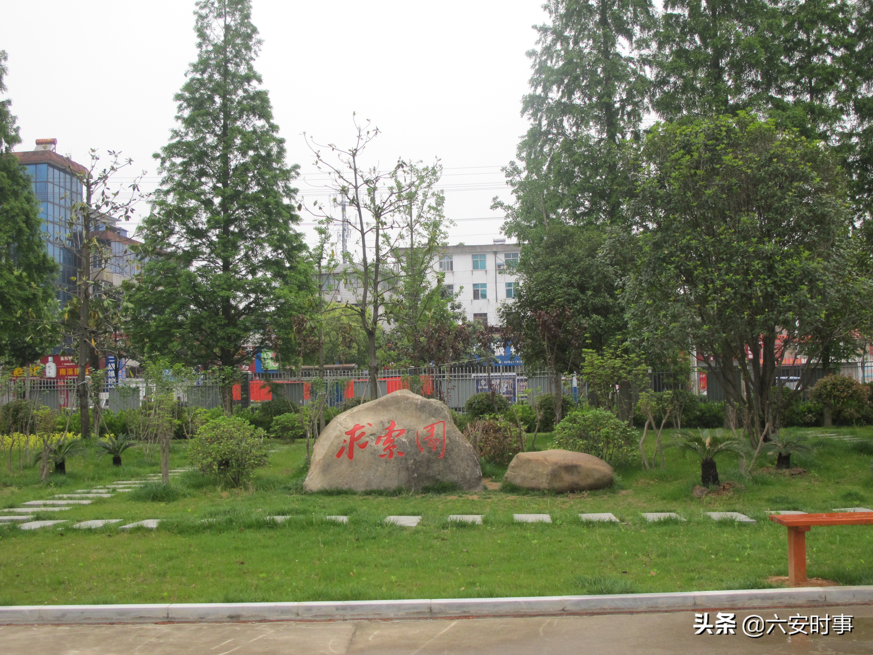 校园春意盎然,校园春意荡漾