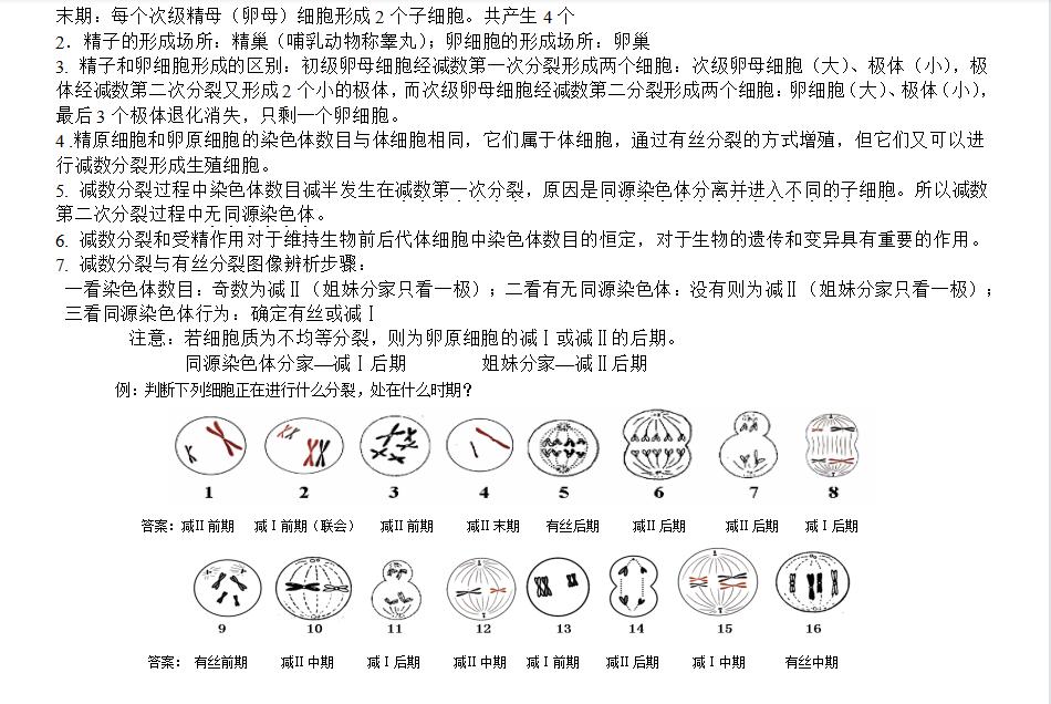高中生物该怎么学才能提高成绩,高中生物怎么学习才能突破