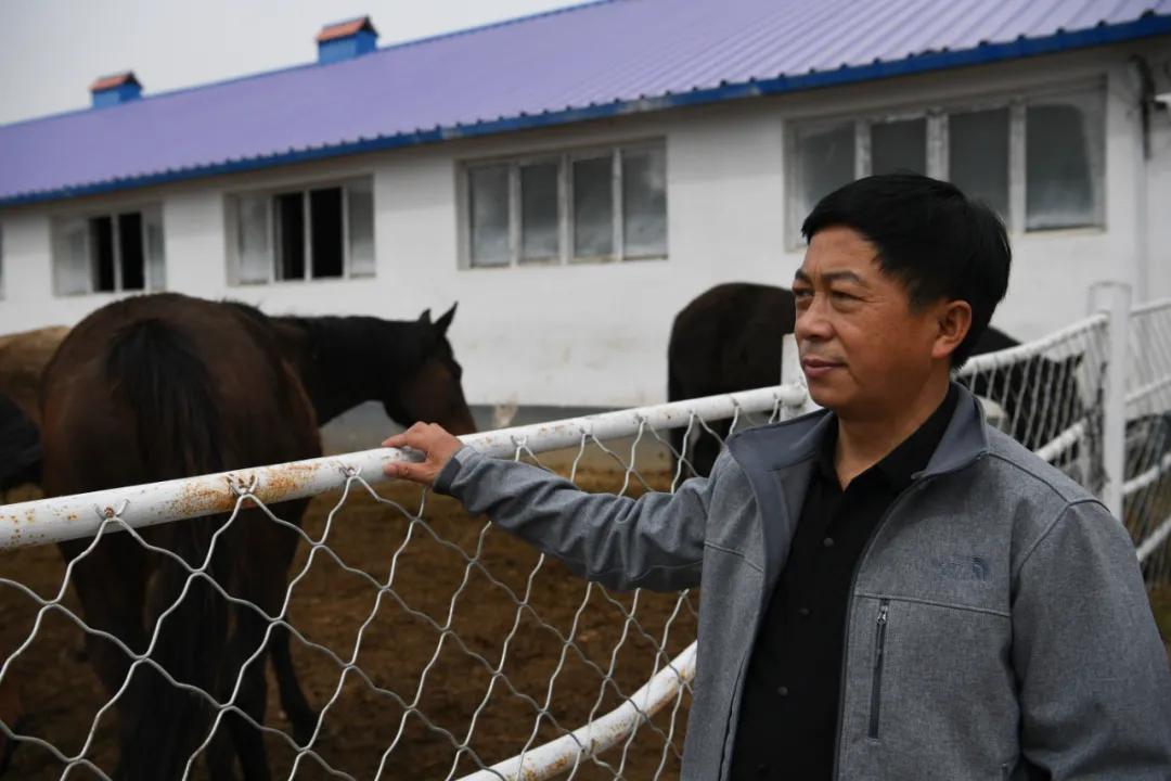 汉武帝平定氐羌,汉武帝赐名蓬莱