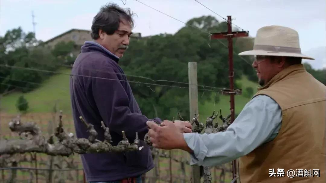 十部有趣有料的葡萄酒视频,十部顶级纪录片红酒