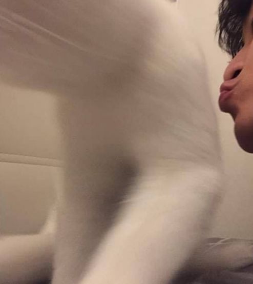 猫咪和主人的温馨时刻,和猫咪快乐的瞬间