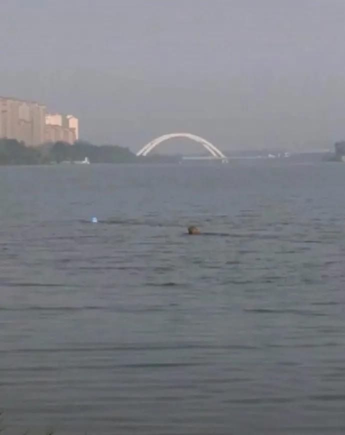 催卖家发货的幽默句子,怎么幽默的催商家发货