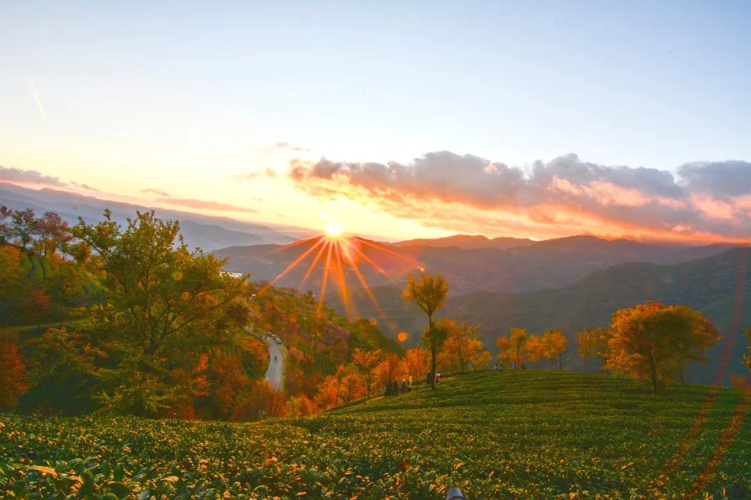12月想要什么,12月的冬日暖阳岁月如此静好