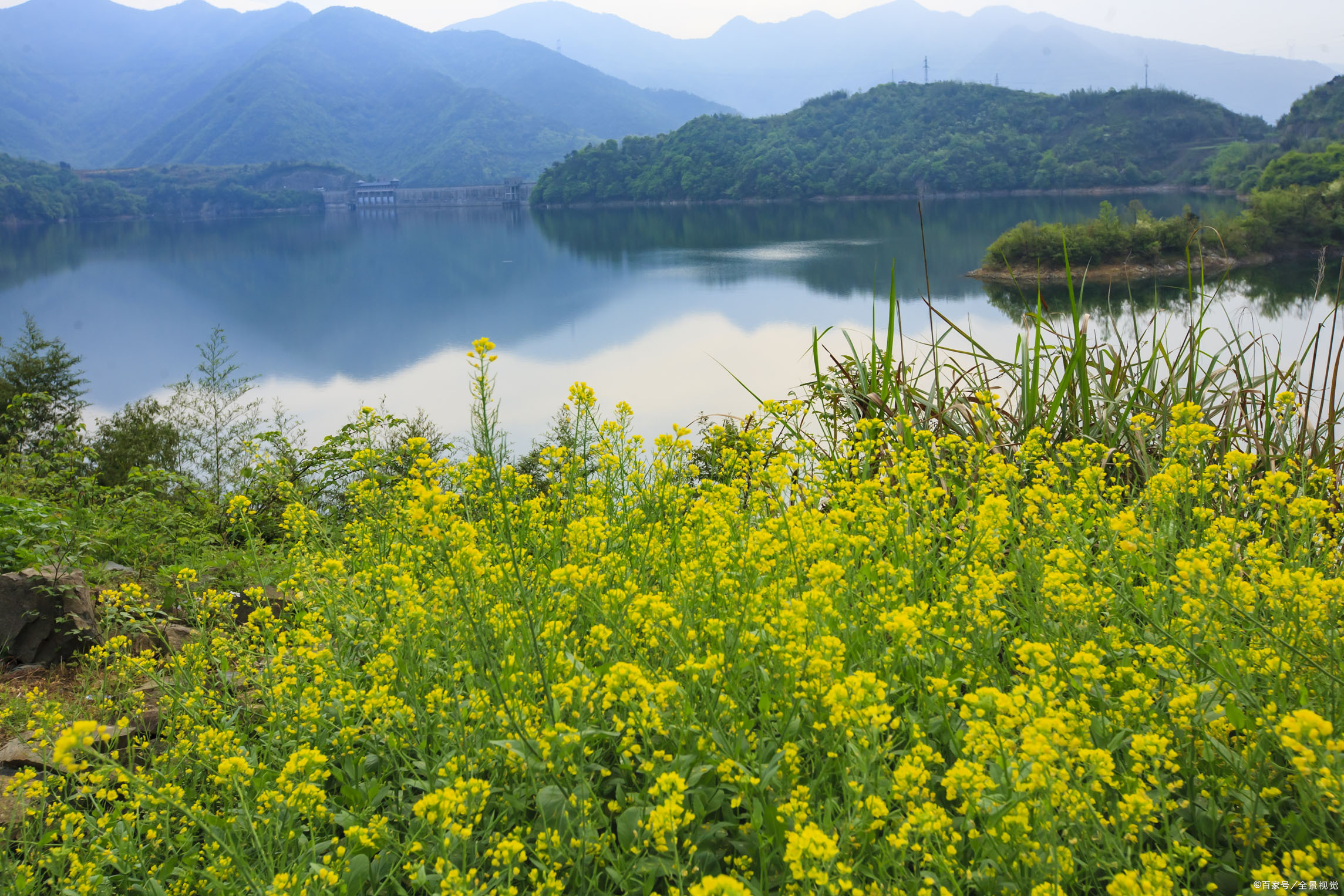 四季轮回又浅秋,葵花向阳乐难休/邢桂珍诗词(六首)