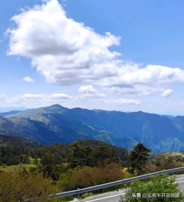 神农顶瞭望塔风景区,神农顶为什么叫华中第一哨
