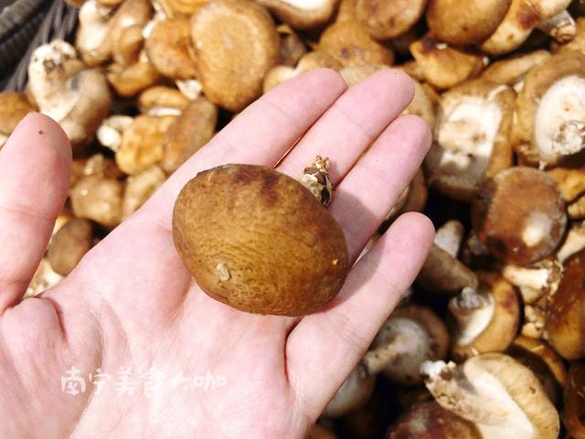 买香菇挑湿的买还是干的买,买香菇应该买大的还是买小的