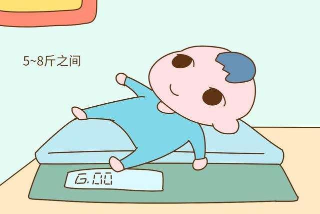 30至40周胎儿可以长多少斤,孕34周到38周胎儿体重能长多少斤