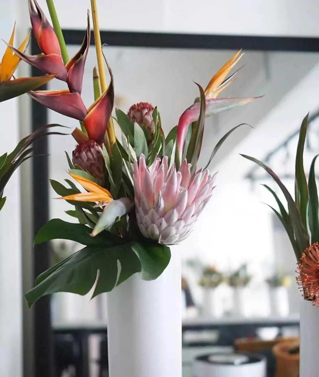 花要不要经常换水,花材正确处理方式及日常养护