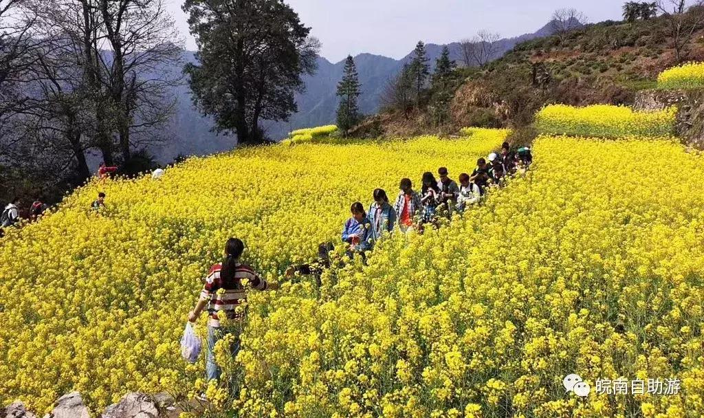 皖南白际旅游攻略图,皖南大峡谷一日游最佳路线