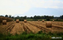 意大利语有几个国家,讲意大利语的国家和地区有