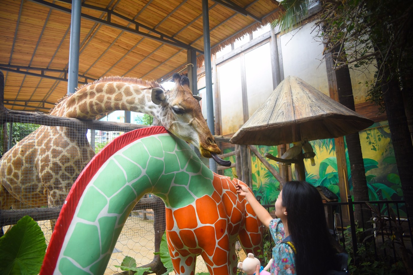宋城千古情哪个区好,宋城千古情哪排的位置好