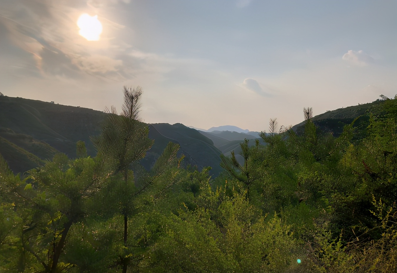 鍐滄潙璋氳鏈変簲鏈堜笉璧锋埧鐨勮娉曞悧,鍐滄潙淇楄浜旀爲杩涘畢瀛愬瓩瀵岃吹