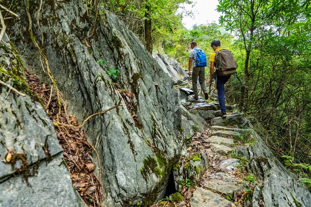 徒步穿越秦岭无人区,徒步穿越喀斯特森林