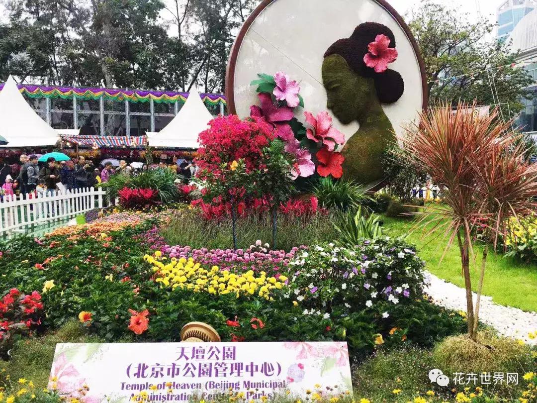 共赴盛会活动,香港国际花卉展