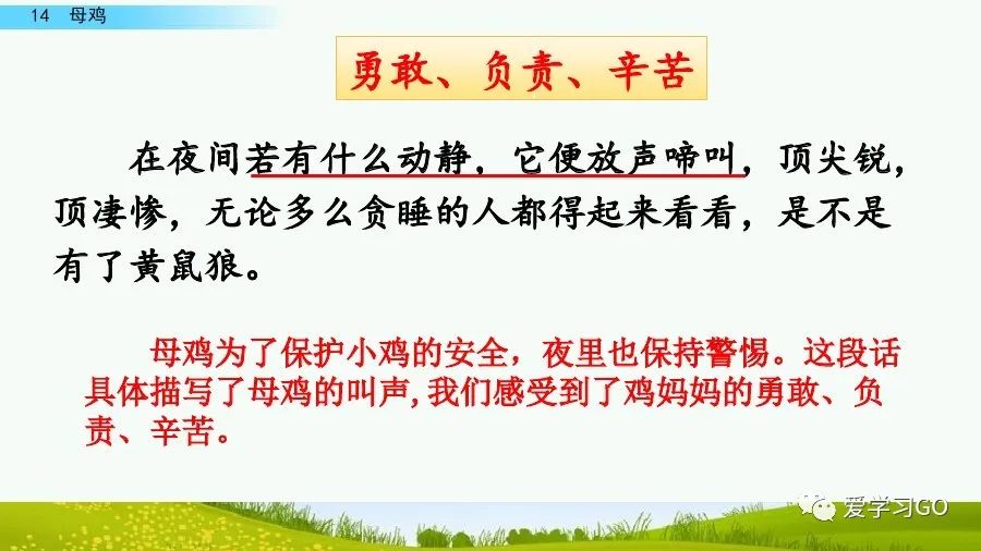 部编版四年级下册15课白鹅解析,部编版四下语文第13课母鸡预习