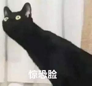 孕妇智齿发炎肿痛怎么办,孕期智齿发炎会自愈吗