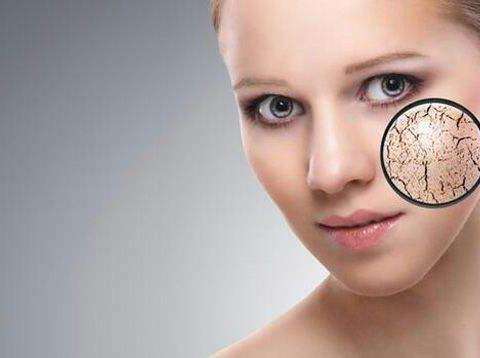 秋冬适合的面霜良心推荐,秋冬好用的滋润面霜排行榜最新