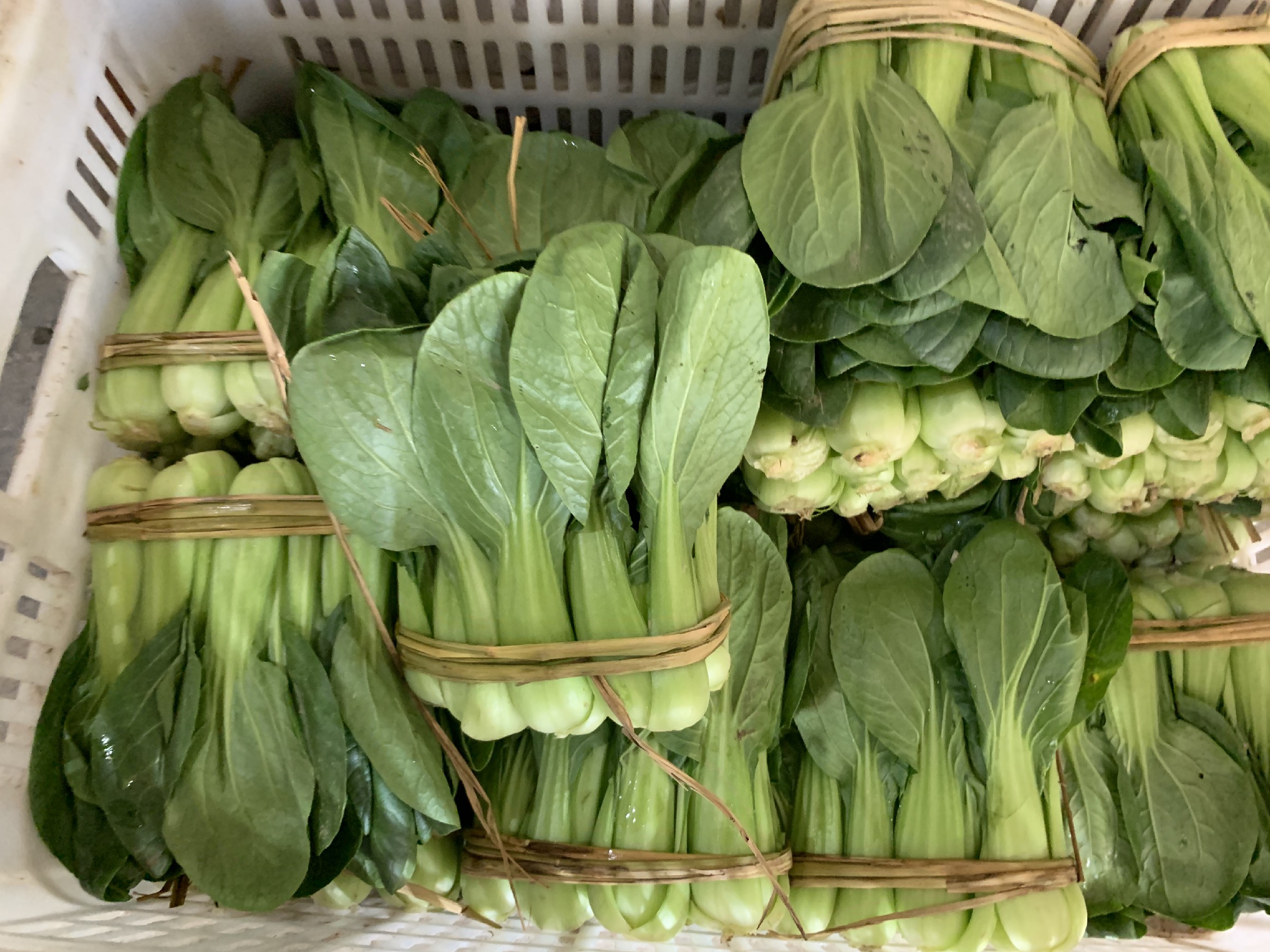 炒青菜翠绿又好吃的方法大全,怎样炒青菜比较翠绿