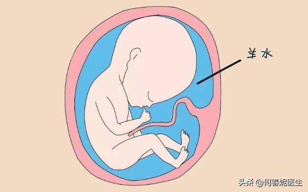 羊水过多过少对胎宝宝的影响,孕妈羊水少为什么会缺氧