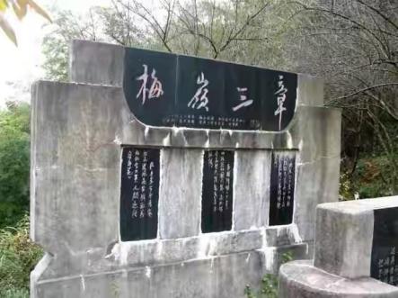 南昌新增一处网红打卡地,南昌网红打卡地适合孩子玩