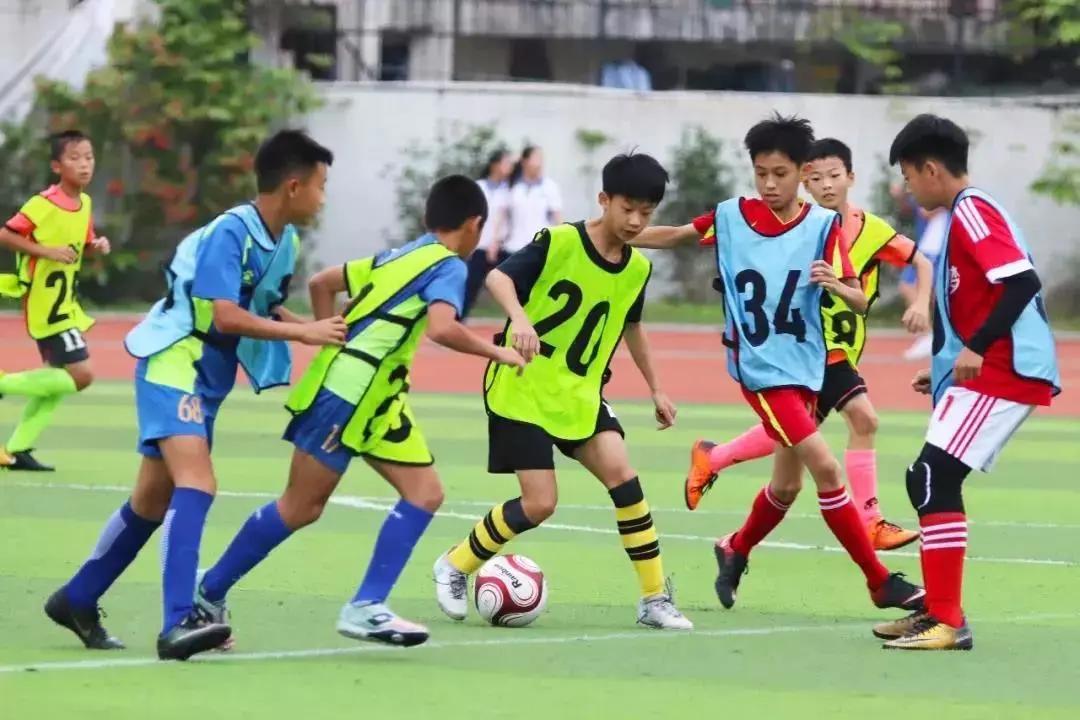 段刘愚深圳哪里人,学霸段刘愚哪所学校