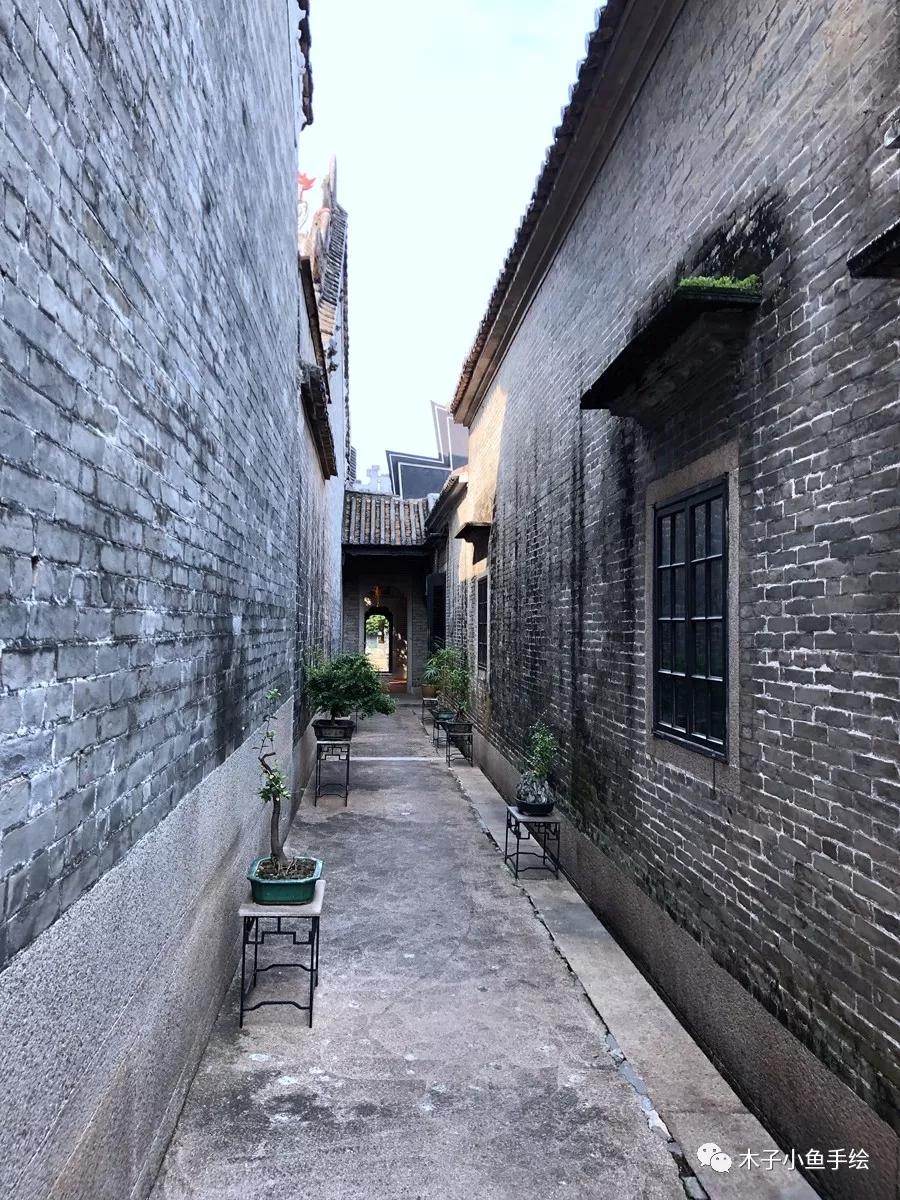 广东四大名园余荫山房窗户,余荫山房和广东四大名园