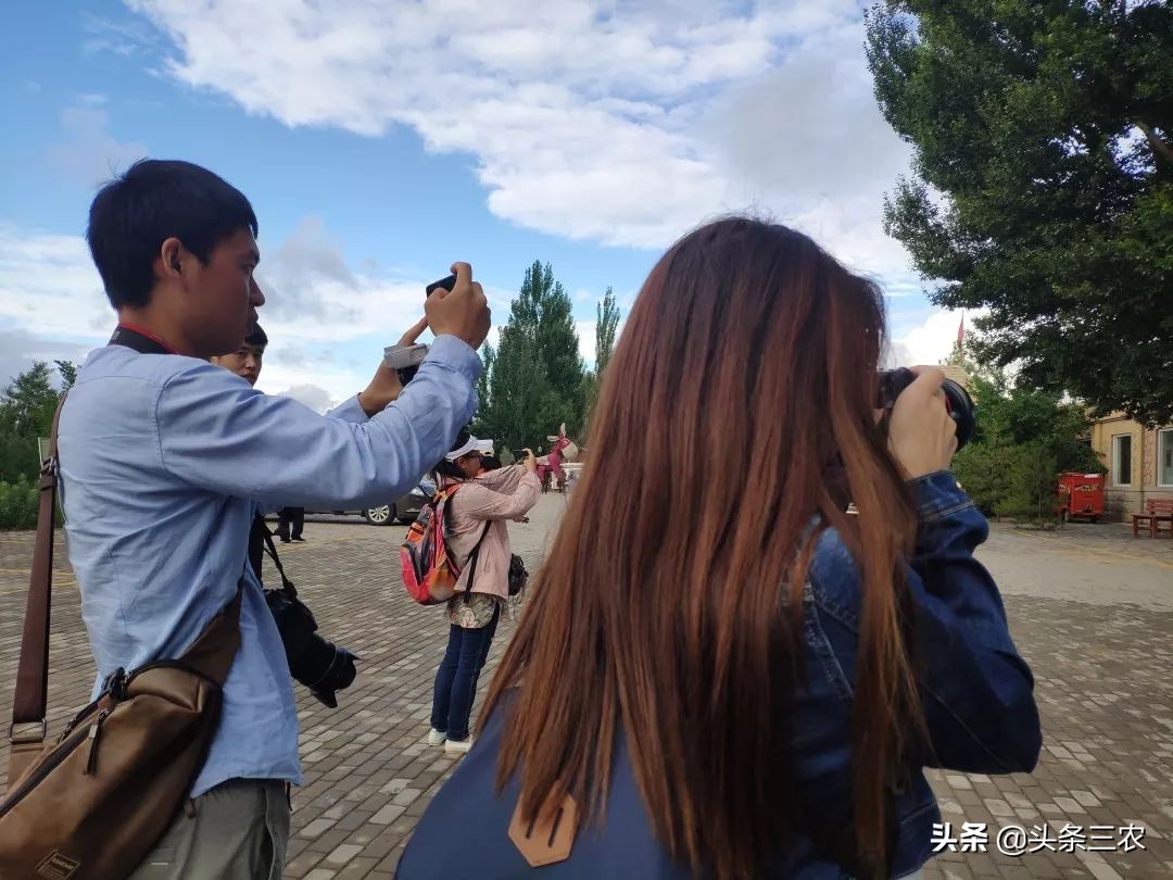 风物中华大好河山,滩羊之乡风物盐池