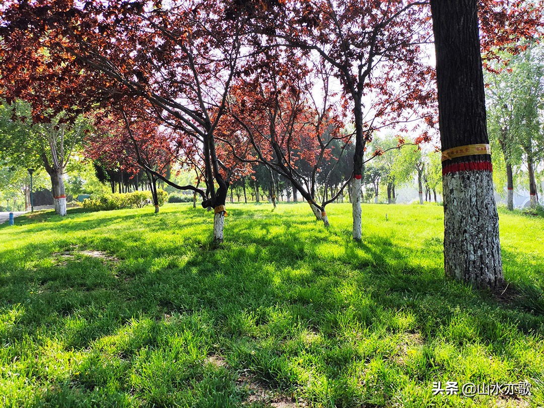 石家庄高新区地上公园,石家庄高新区草原公园