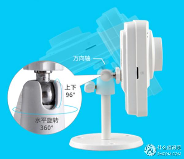 白天不在家猫喂食怎么办,白天不在家猫怎么养