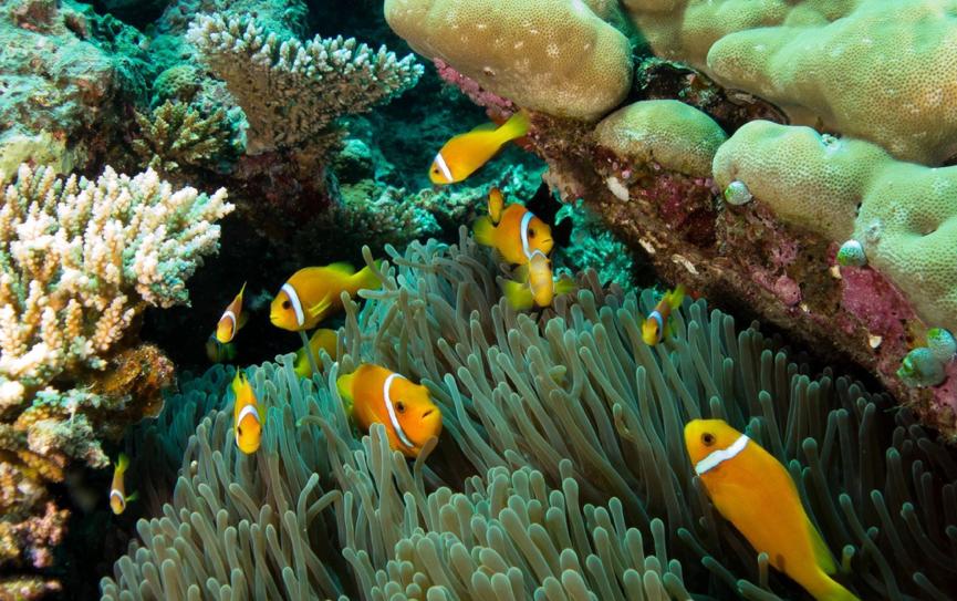 马尔代夫怎么样选岛,马尔代夫选岛