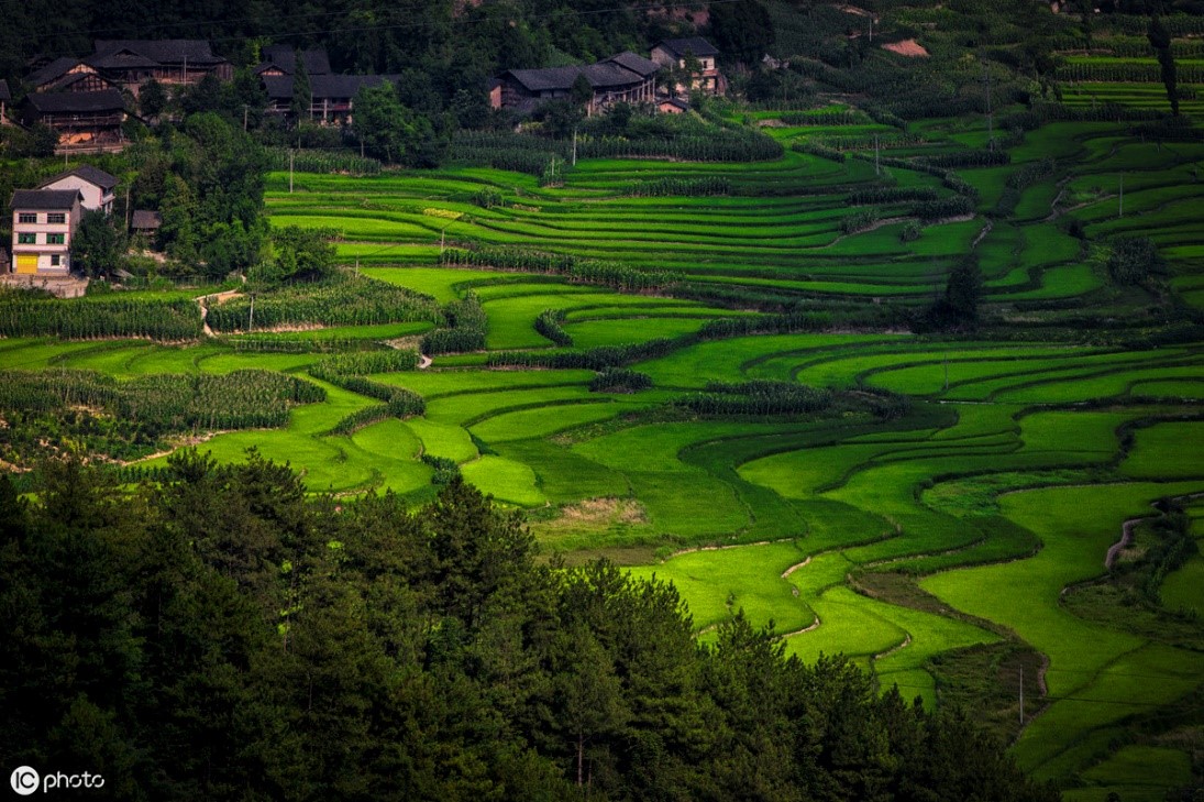 重庆主城区周末避暑,重庆周边露营耍水的地方避暑