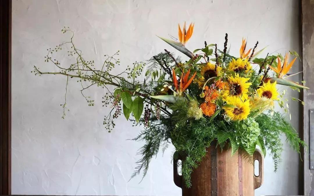 花材不剪枝如何养护,花材不用换水养护方法大全