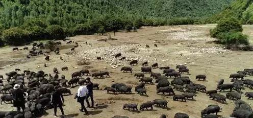 加一点盐，减一点盐，都能挣钱