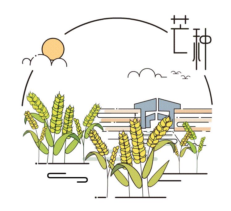 芒种后吃什么养生,芒种养生常识图文