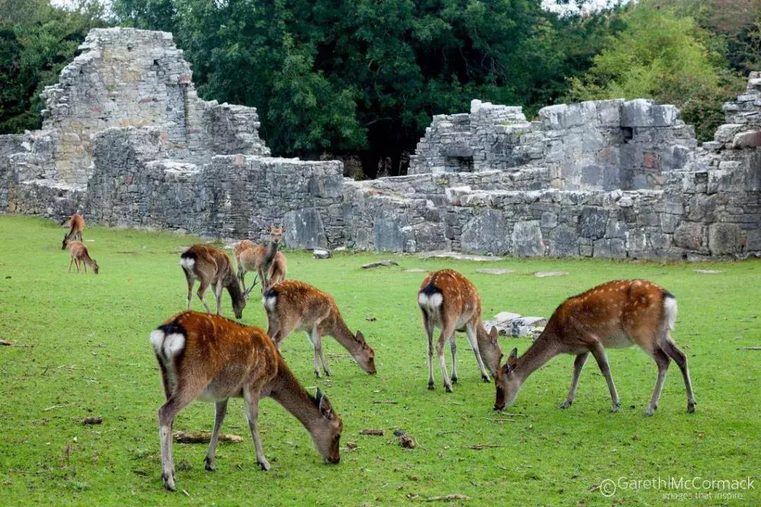 世界上唯一不允许结婚的国家,世界唯一一个不可以离婚的国家