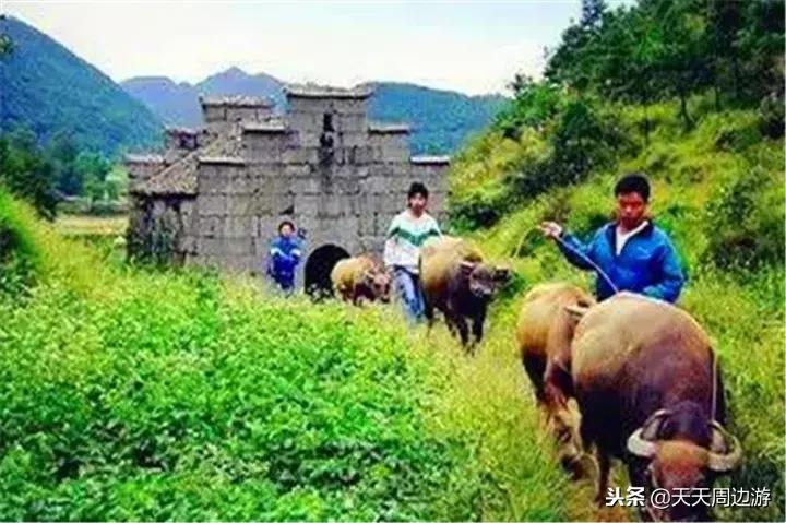 寻找广东最美古道秋景