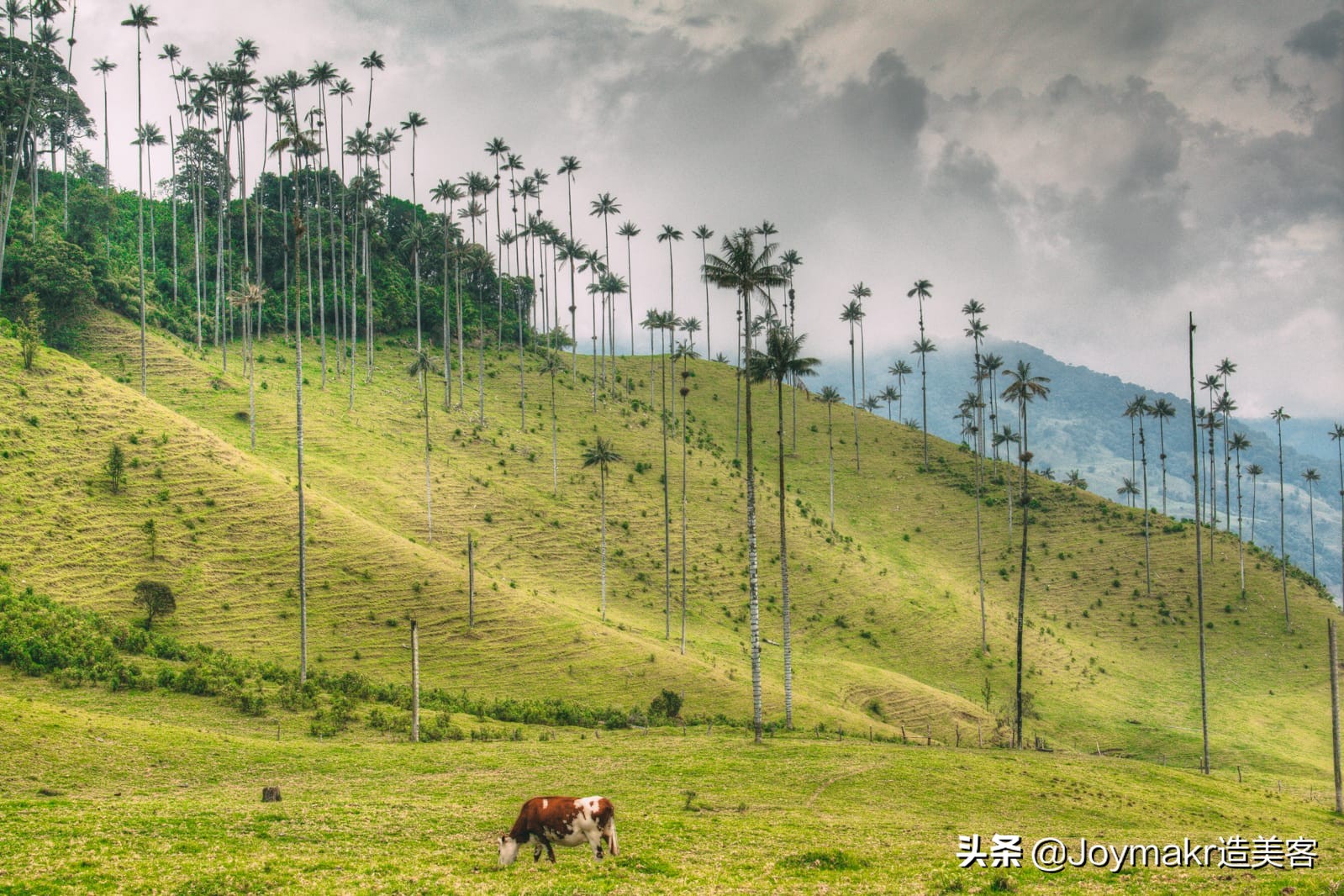 哥伦比亚最佳旅游景点,哥伦比亚游玩