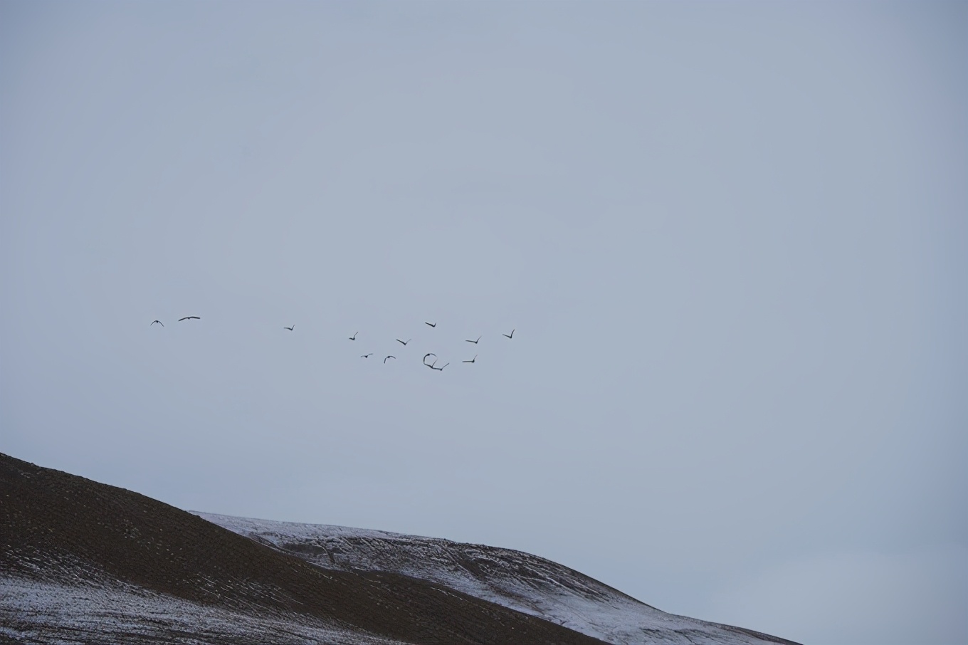 大美*疆新**，一个快递不包邮的地方，藏着不一样的异域风情