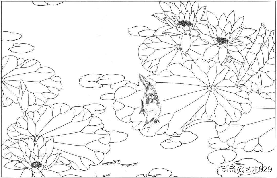 余稚荷花蜻蜓图高清白描底稿,白描荷花勾线方法讲解视频