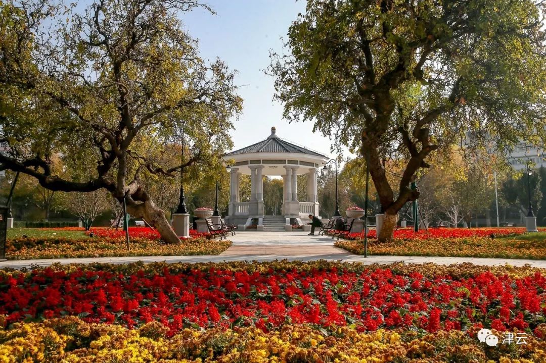 中心公园现状,城市中心公园