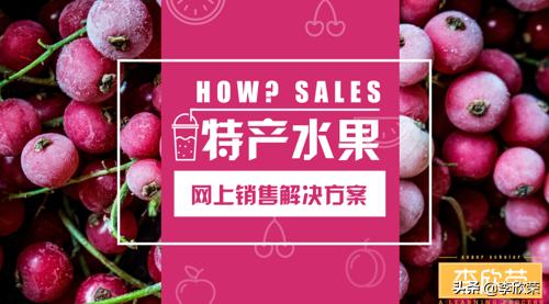 李欣荣：*疆新**水果特产网络销售渠道市场营销方案