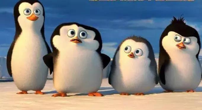 腾讯平均收入8万,腾讯平均薪酬8万